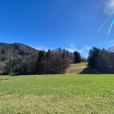 Savoyard Avec Cheminee Et Parking A - Fr-1-624-80 * Samoens